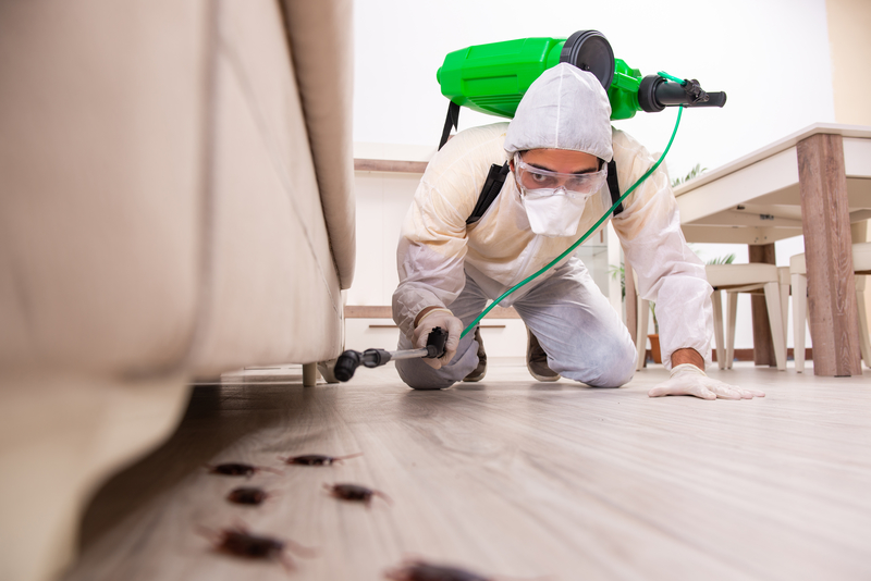 Call Pest Exterminator And Deal With The Pest Problem Easily